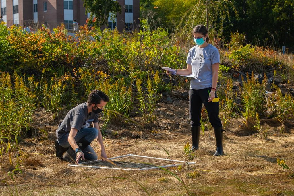 Two students gather environmental data in a field on the U N E biddeford campus