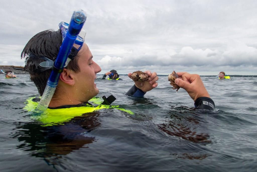 A student in snorkel gear floats at the surface of the ocean while holding small live crabs